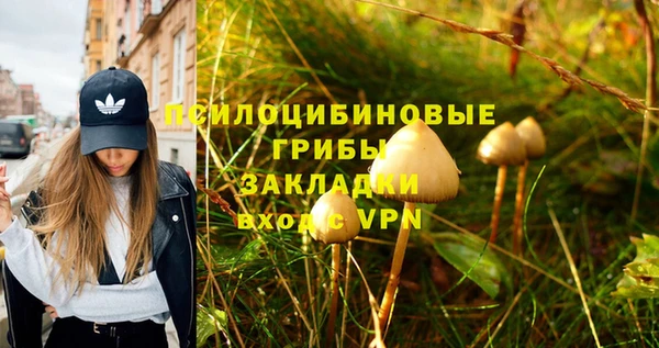 прущая мука Корсаков