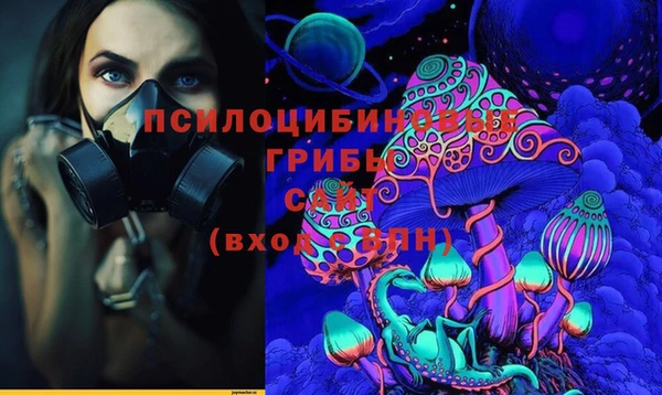 mix Коряжма