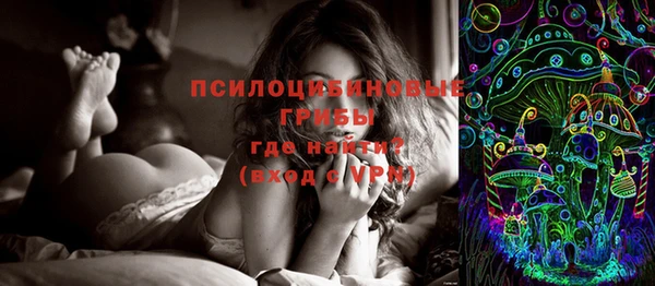 прущая мука Корсаков