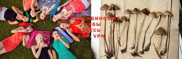 метадон Кодинск