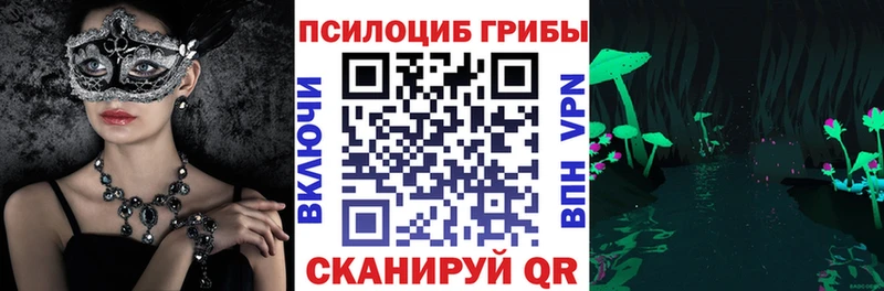 наркота  Кушва  Галлюциногенные грибы мицелий 